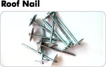 Roof Nail